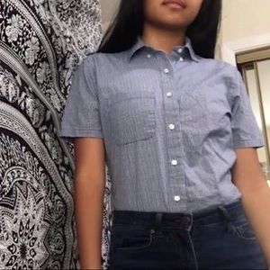 american apparel button-down collared tee